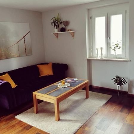 Ferienwohnung Suedschwarzwald Wehr  Eksteriør billede