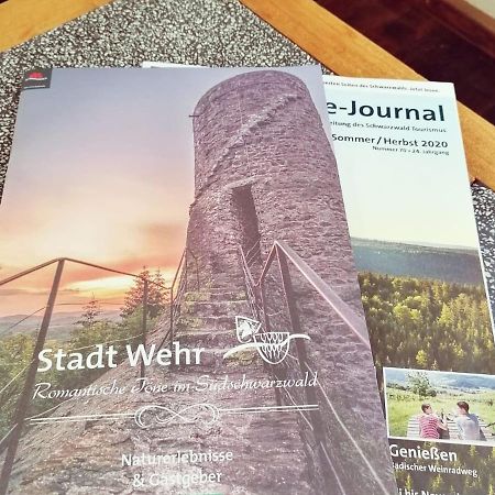 Ferienwohnung Suedschwarzwald Wehr  Eksteriør billede