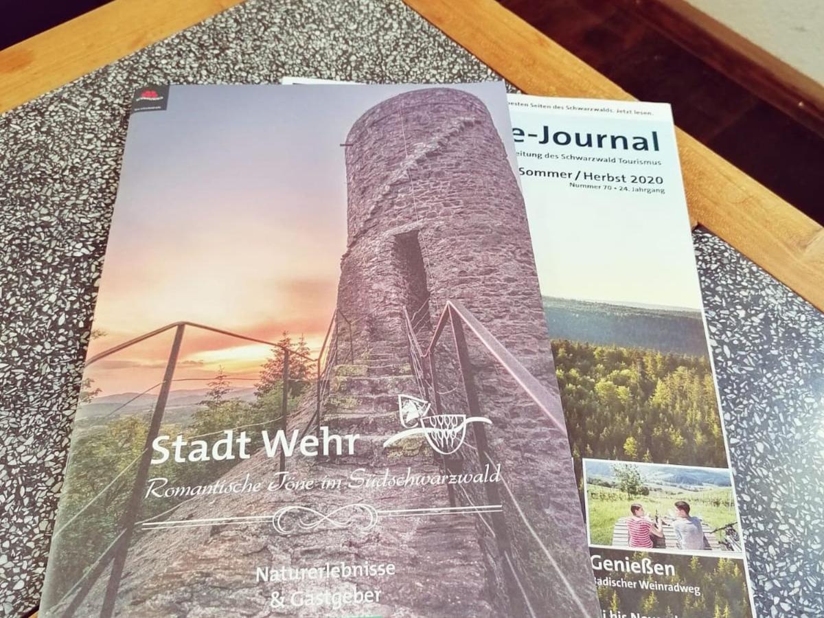Ferienwohnung Suedschwarzwald Wehr  Eksteriør billede